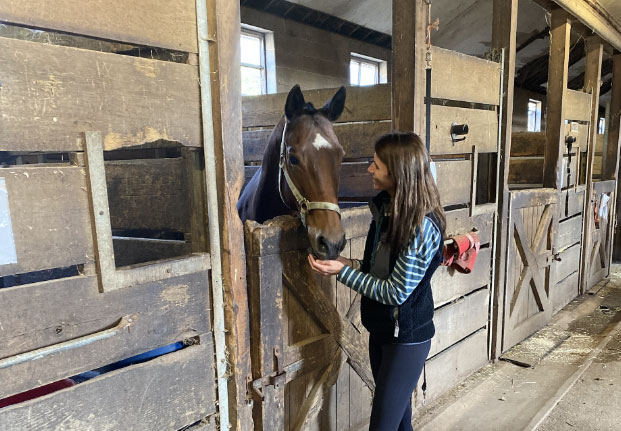 Horse Blanketing 101  Schneiders Learning Center